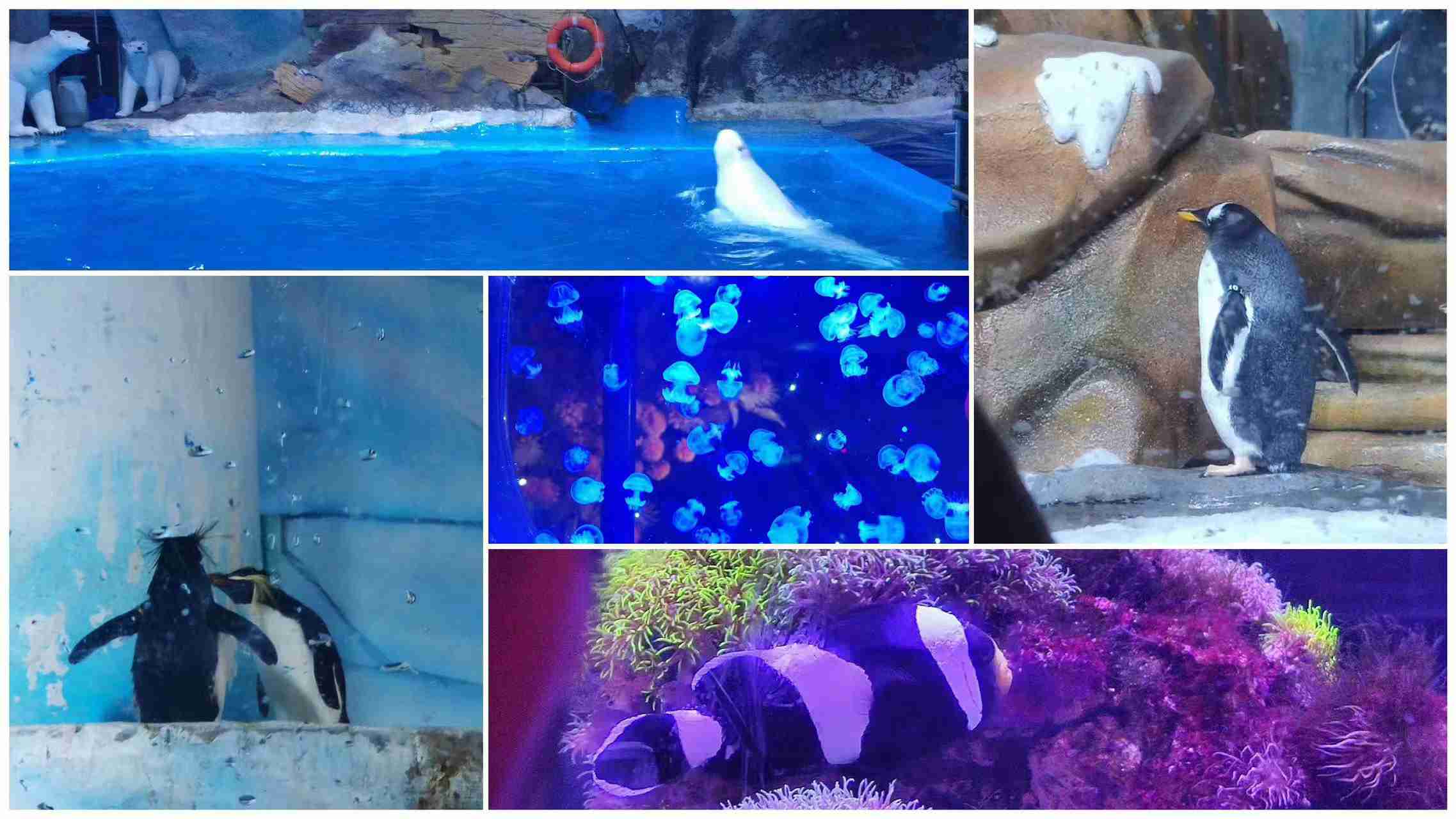 冰球突破-冰球电游豪华版_MG冰球游戏