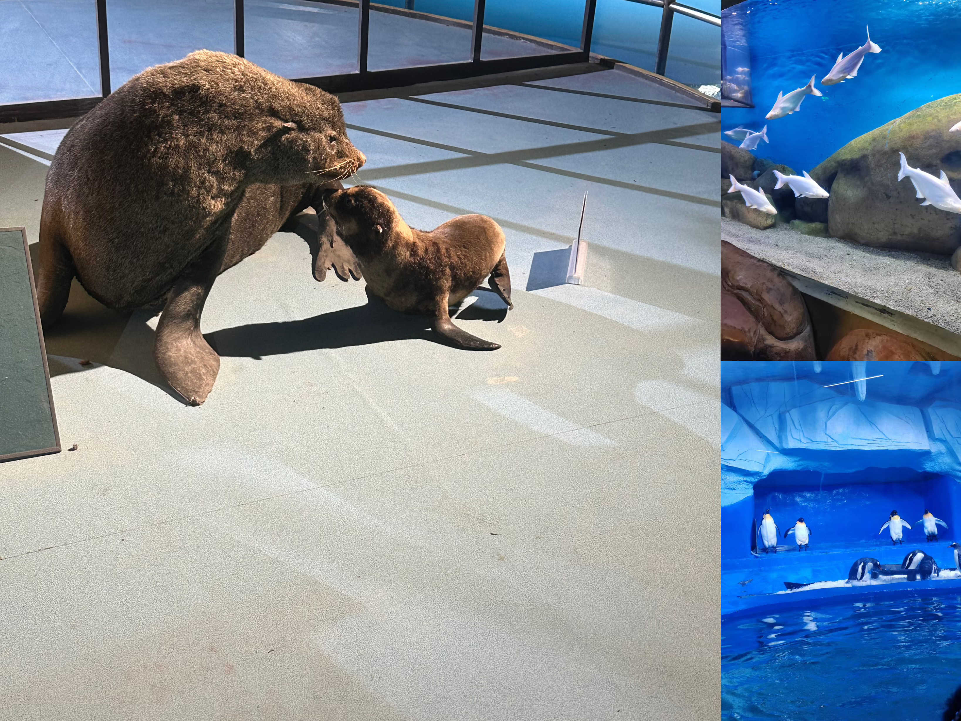 ����ͻ��-������κ�����_MG������Ϸ