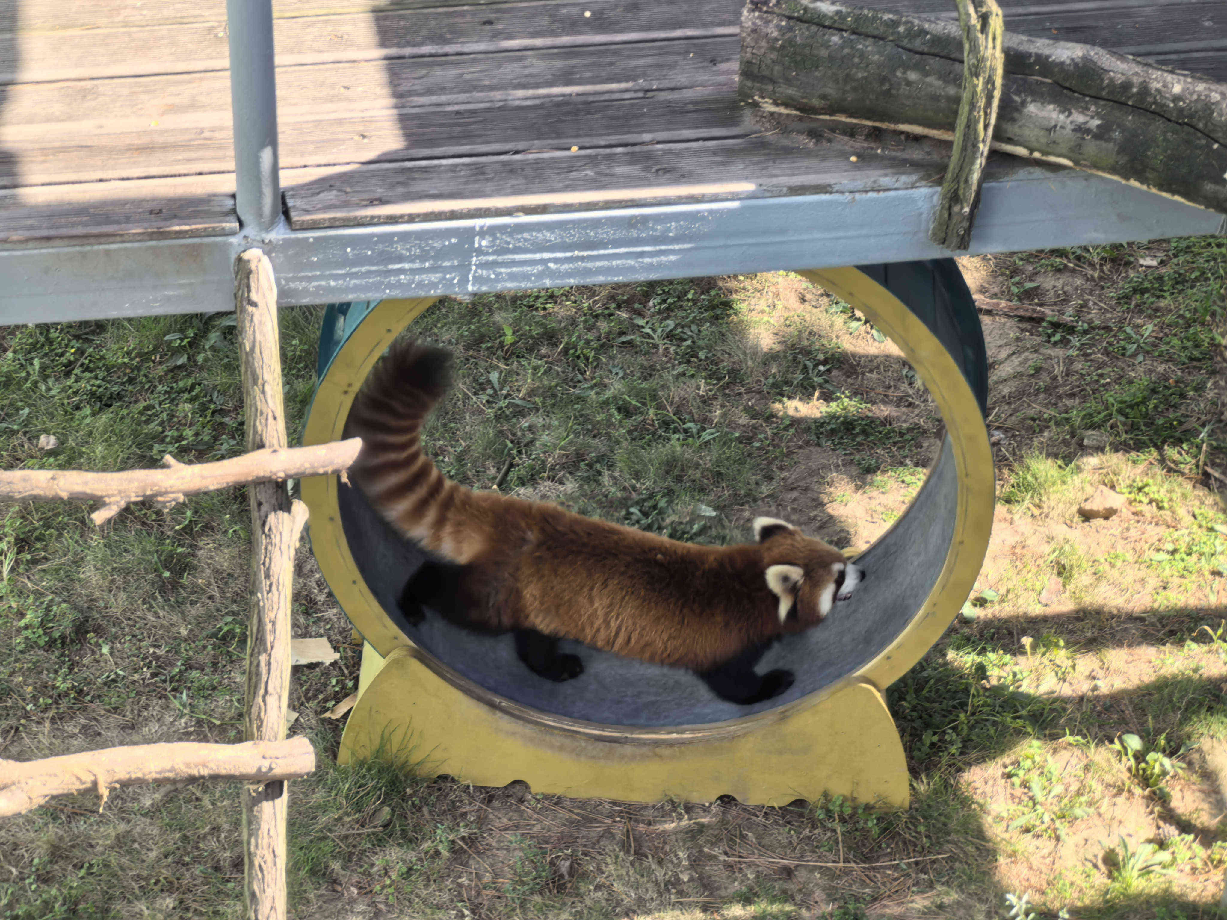 ����ͻ��-������κ�����_MG������Ϸ